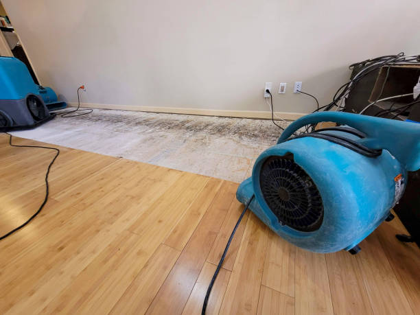 Professional Sewage Cleanup technician working in Midway, TN